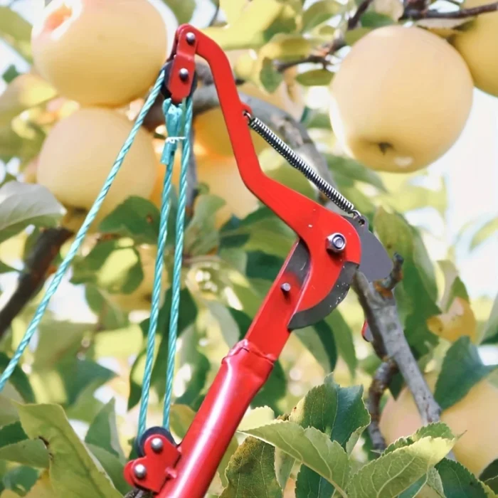BRANCH CUTTER - Image 1