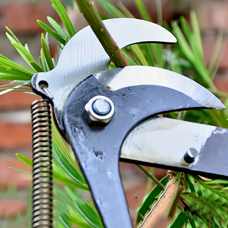 BRANCH CUTTER