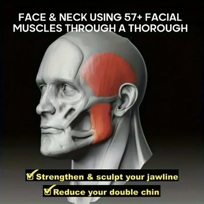 Jawline exerciser - Image 3
