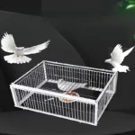 Metal Bird cage - Image 4